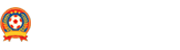 世界杯淘汰赛直播